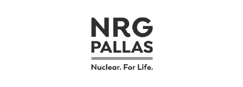 PALLAS reactor